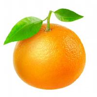 ChengOrangeJu