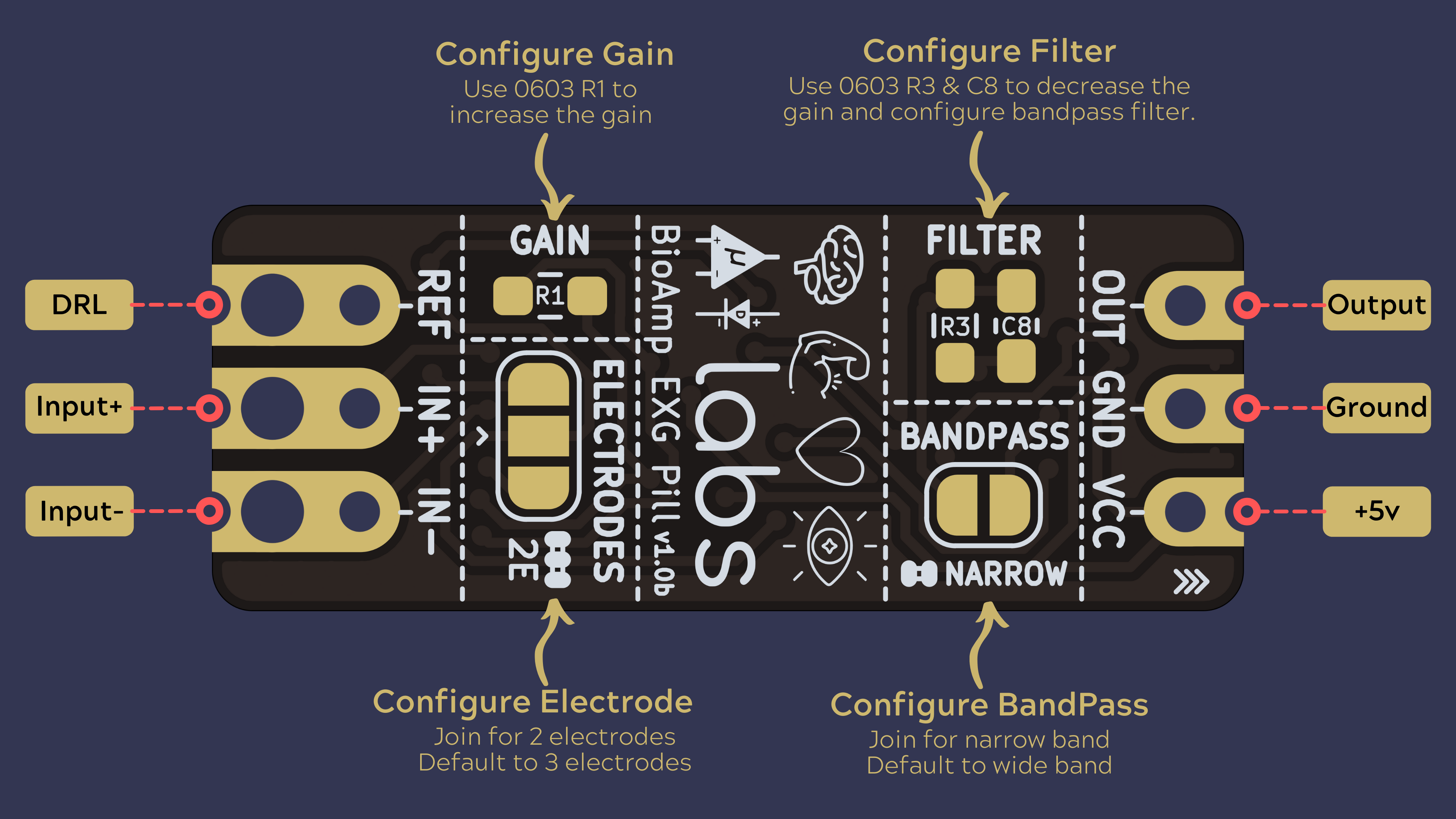 Magic-of-BioAmp-EXG-Pill-v1.0b-back-lbg.png