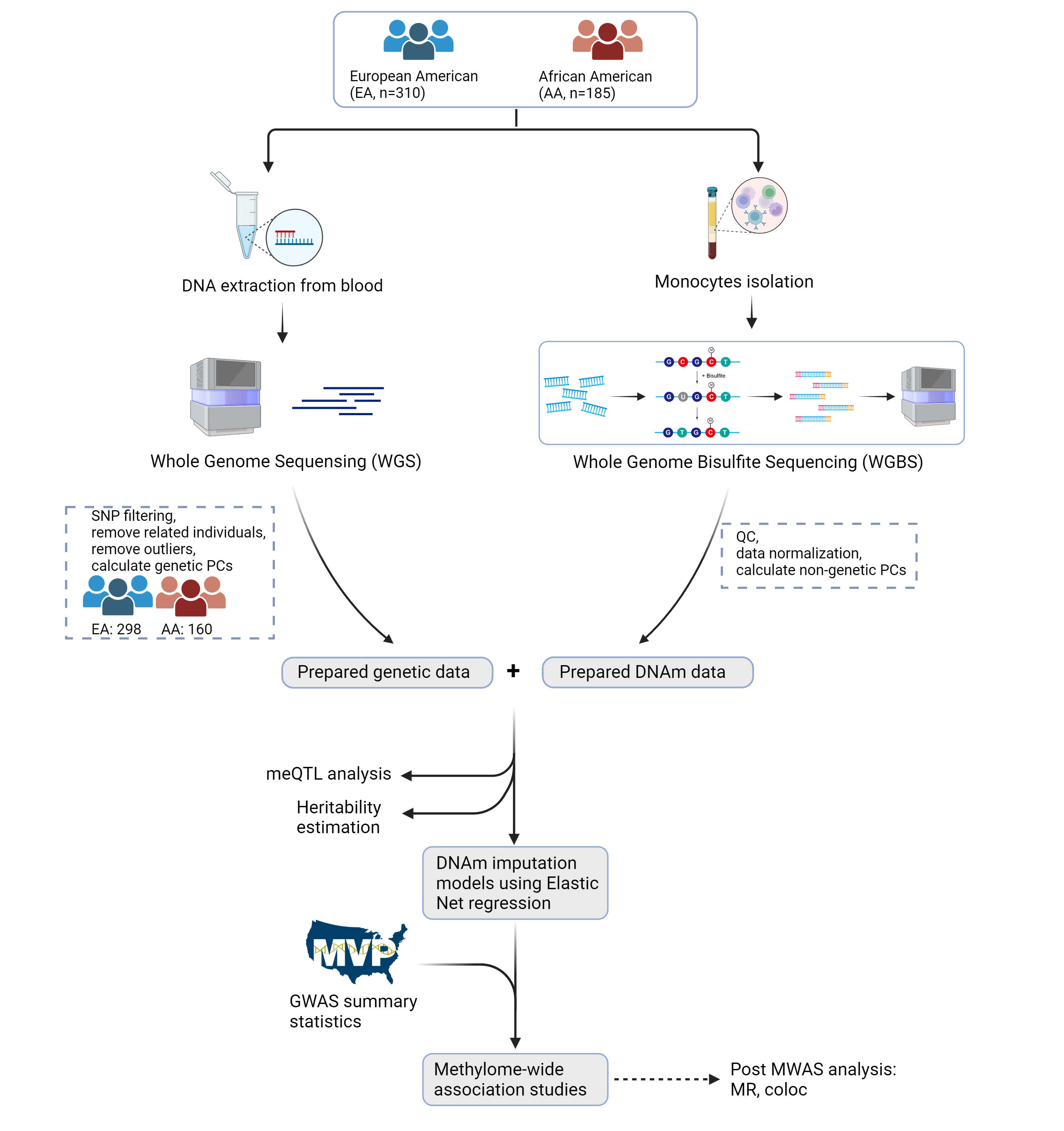 MWAS illustration