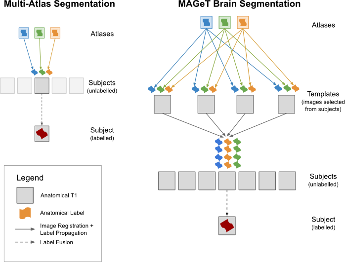 MA-MAGeTBrain-Schematic.png