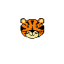 CodeSetter56