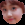 ComBba
