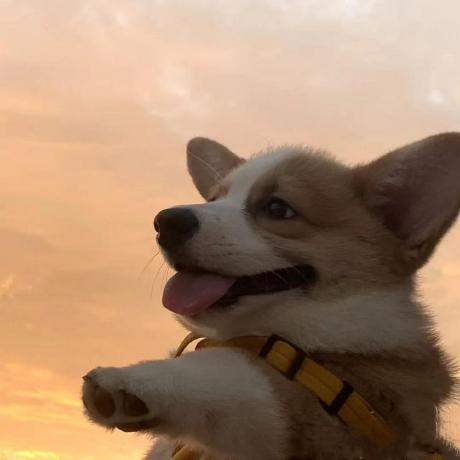 WeatherMcpServer icon