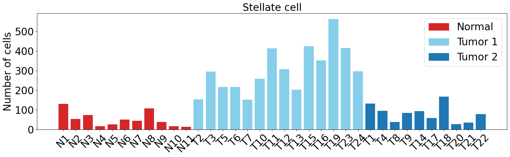 Stellate_cell1.png