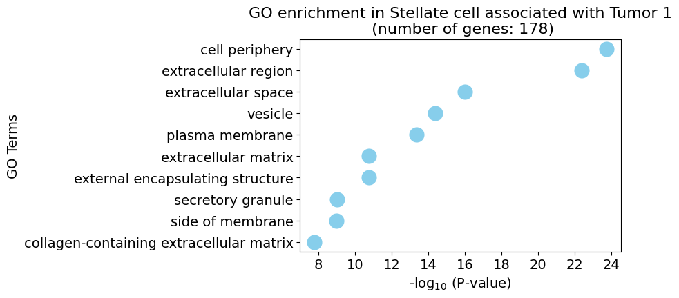 Stellate_cell4.png