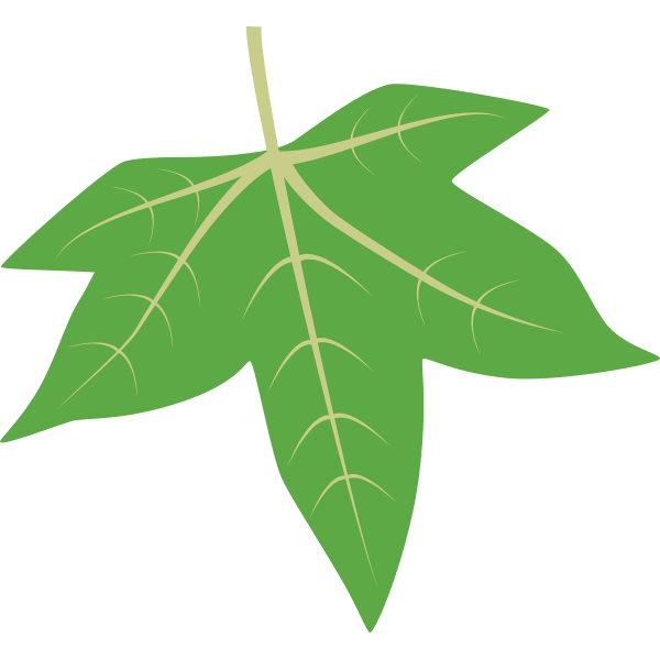 leaf.png
