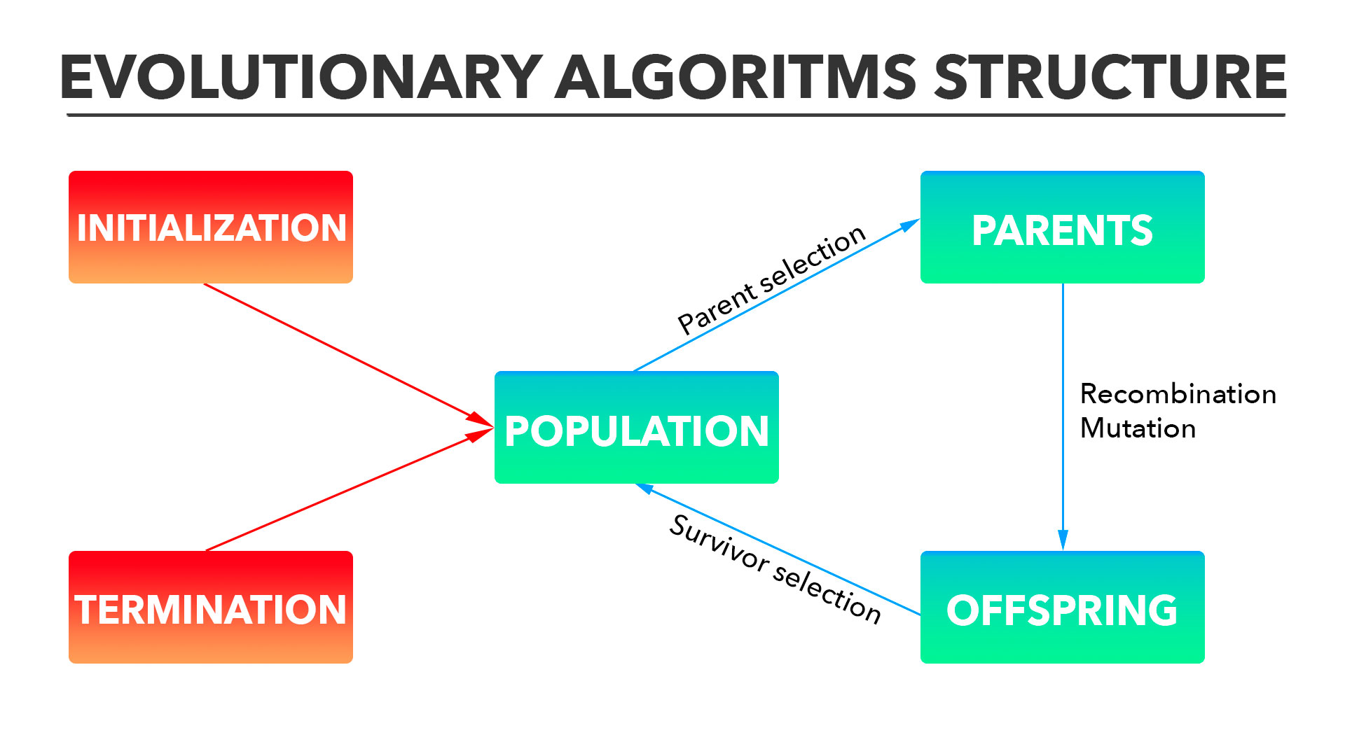 ea-structure.jpg