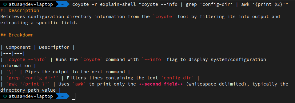 Explain Shell Role