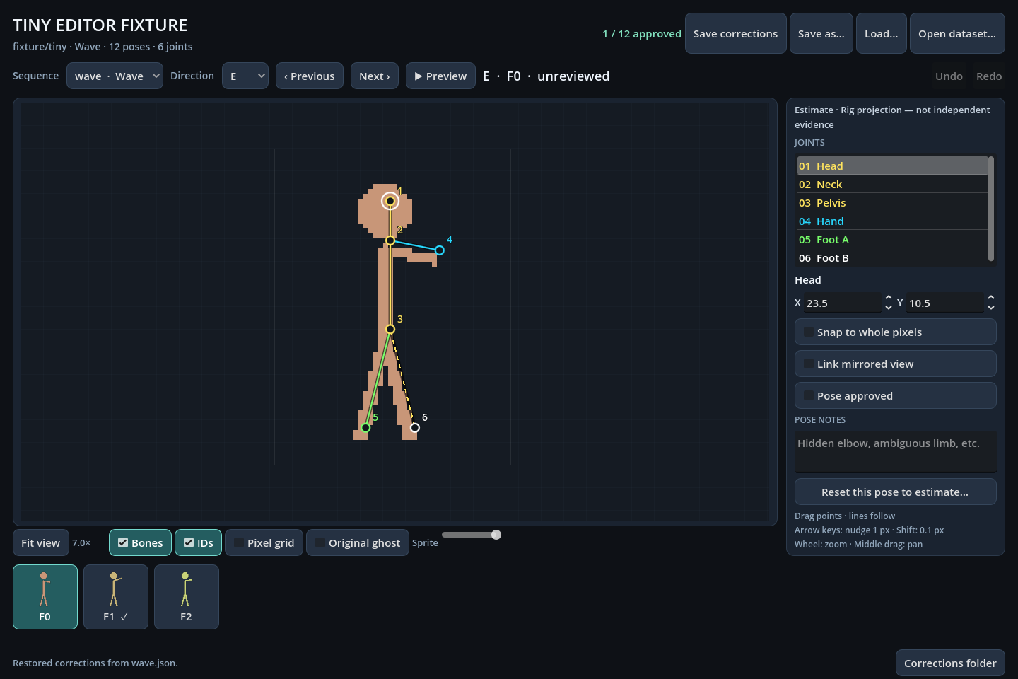 Editor test fixture with a rig-projection estimate