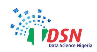DSN_logo.png