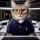 DataWhisker