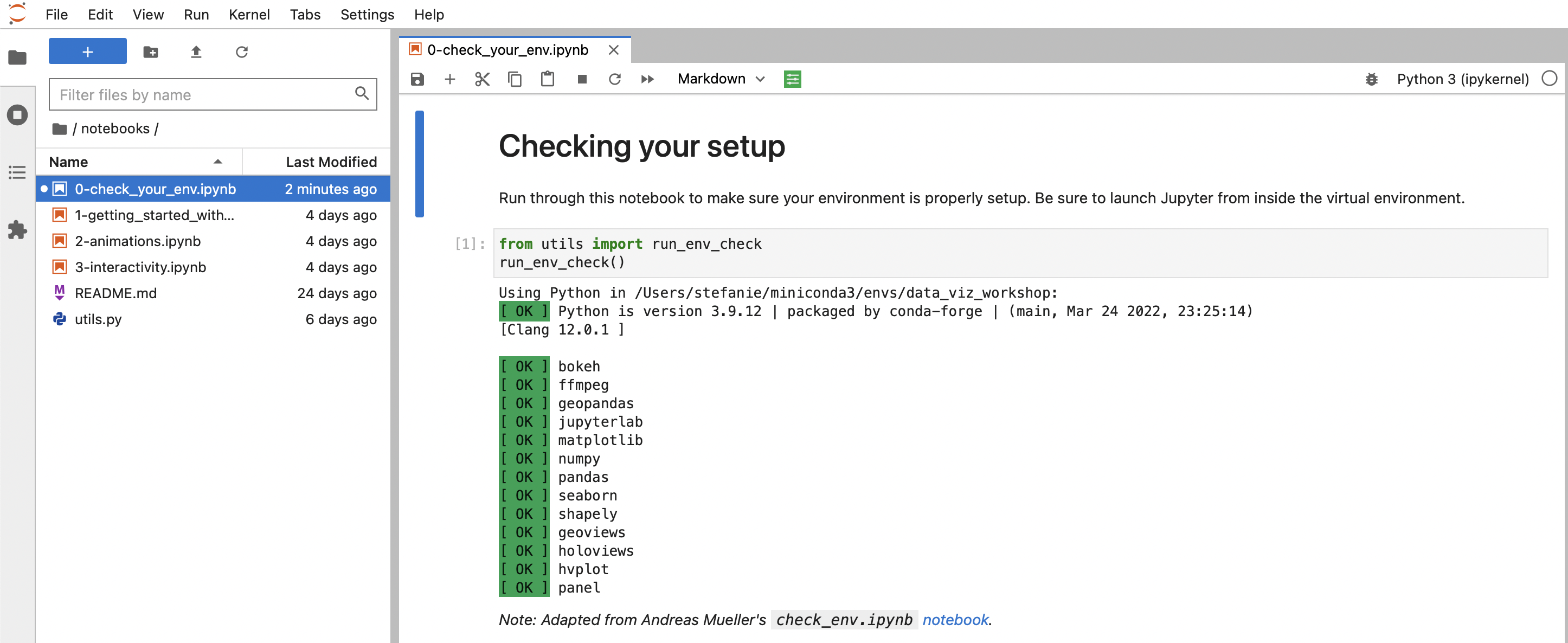 open_env_check_notebook.png