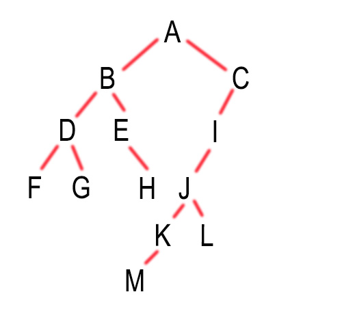 binary tree