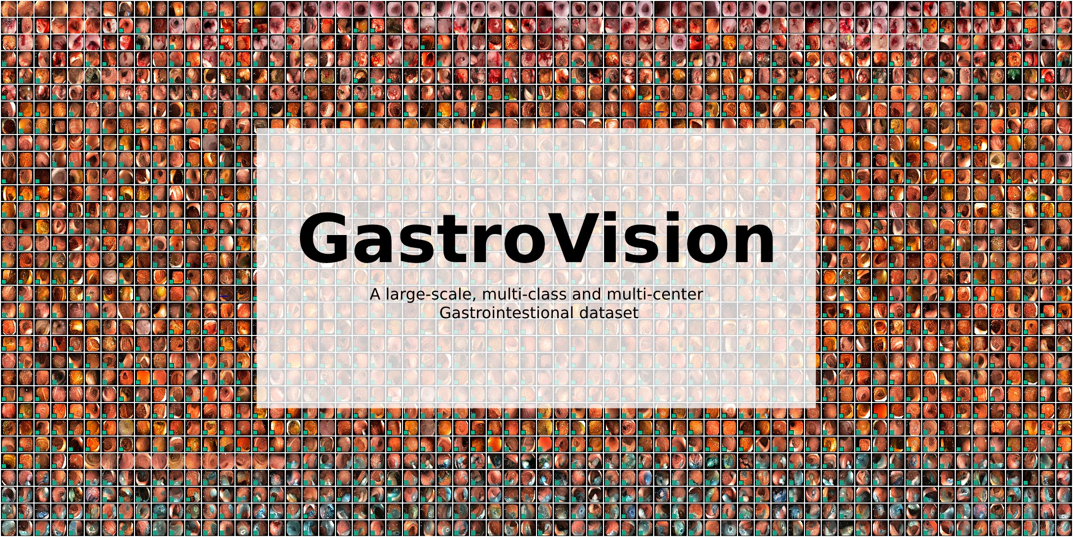 gastrovision.jpeg