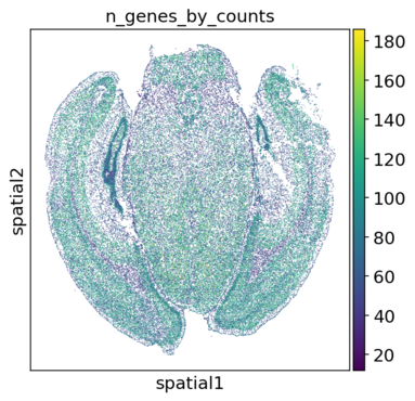 Spatial Embedding, n_genes_by_counts