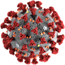 coronavirus:.png