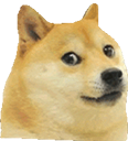 doge:.png