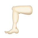 leg-2:.png