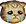 sadcat:.png