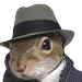 squirrel:.png