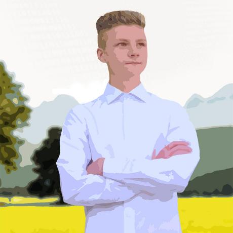 DenysDevelopment
