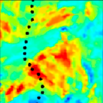 gravatar for DiedrichsenLab