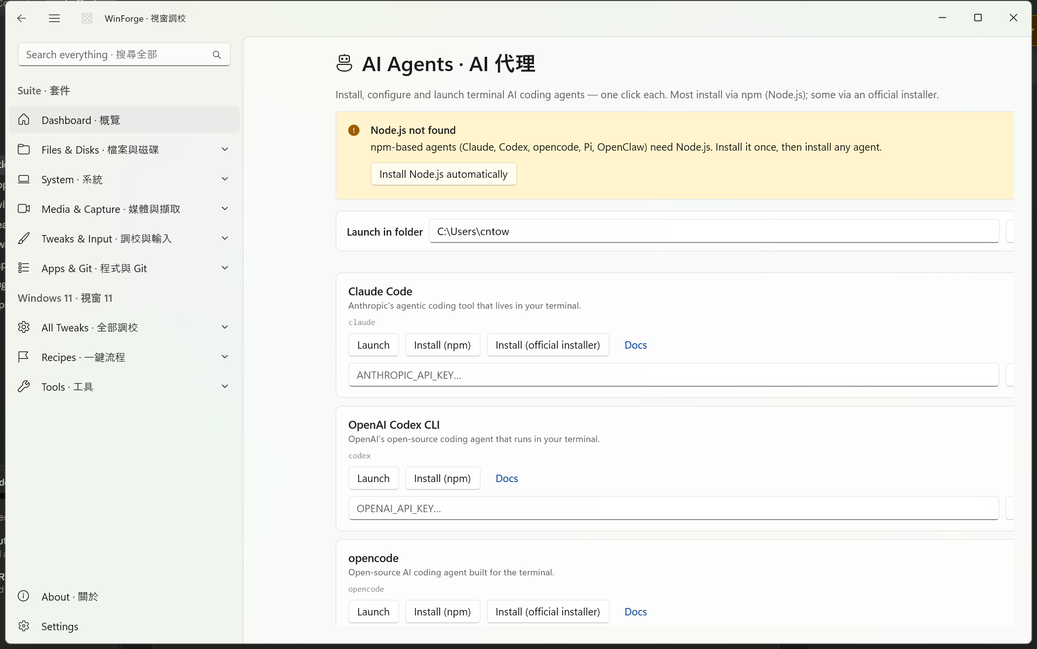 AI Agents module — one card per coding agent with Launch, Install and API-key controls