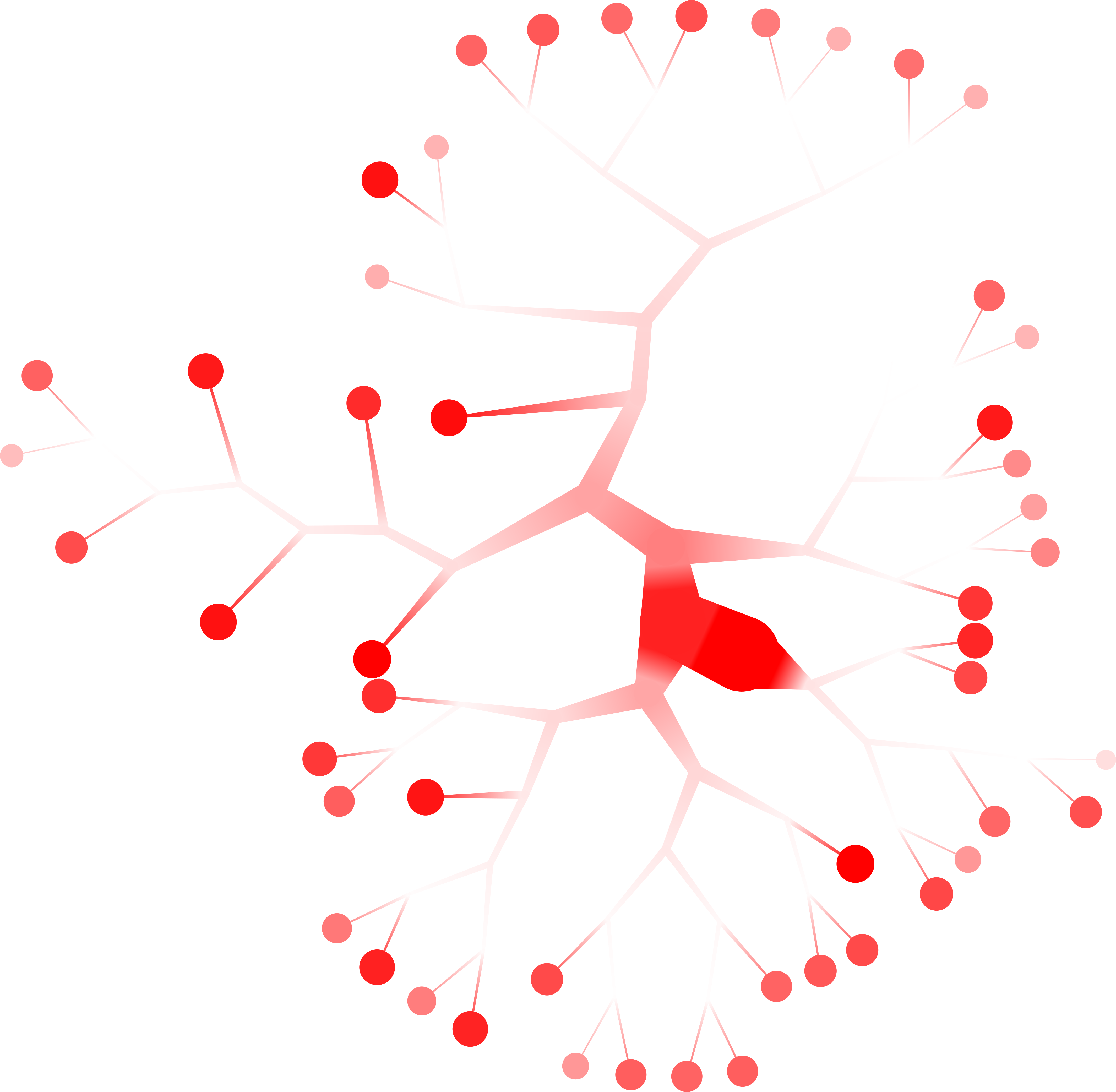 diversity_pruned_tree.png