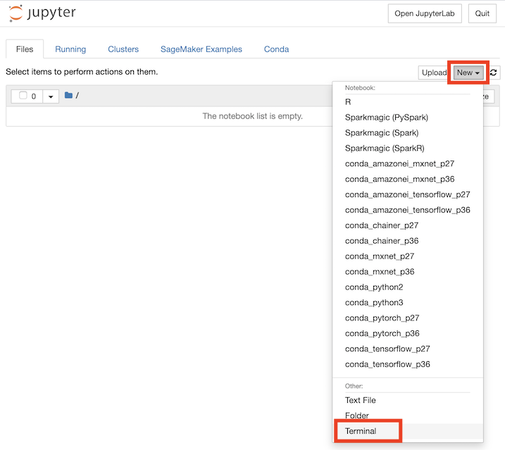 launch_jupyter_terminal.png