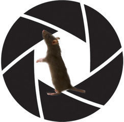 Mouserecord_logo.jpg