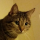 Duocast