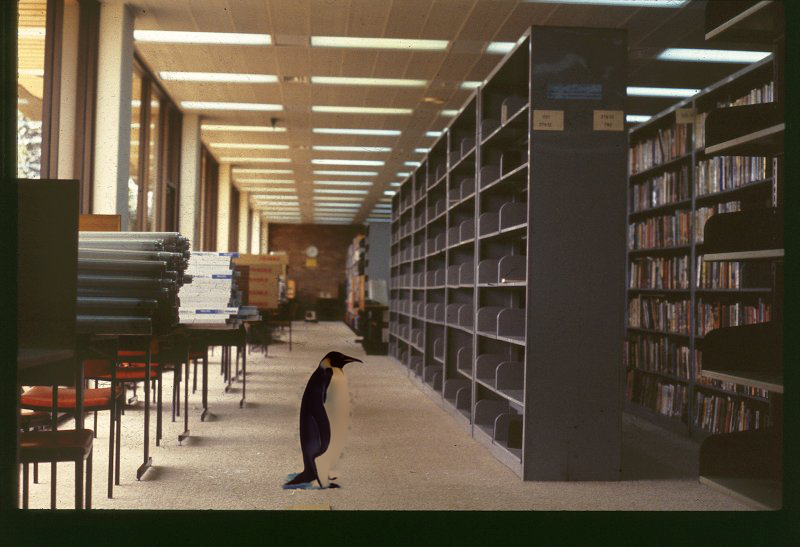 penguin_library.png