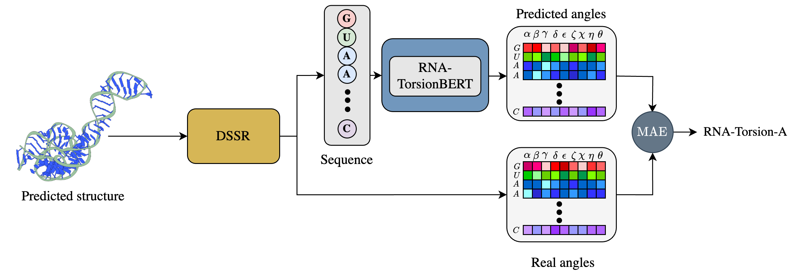 RNA-Torsion-A
