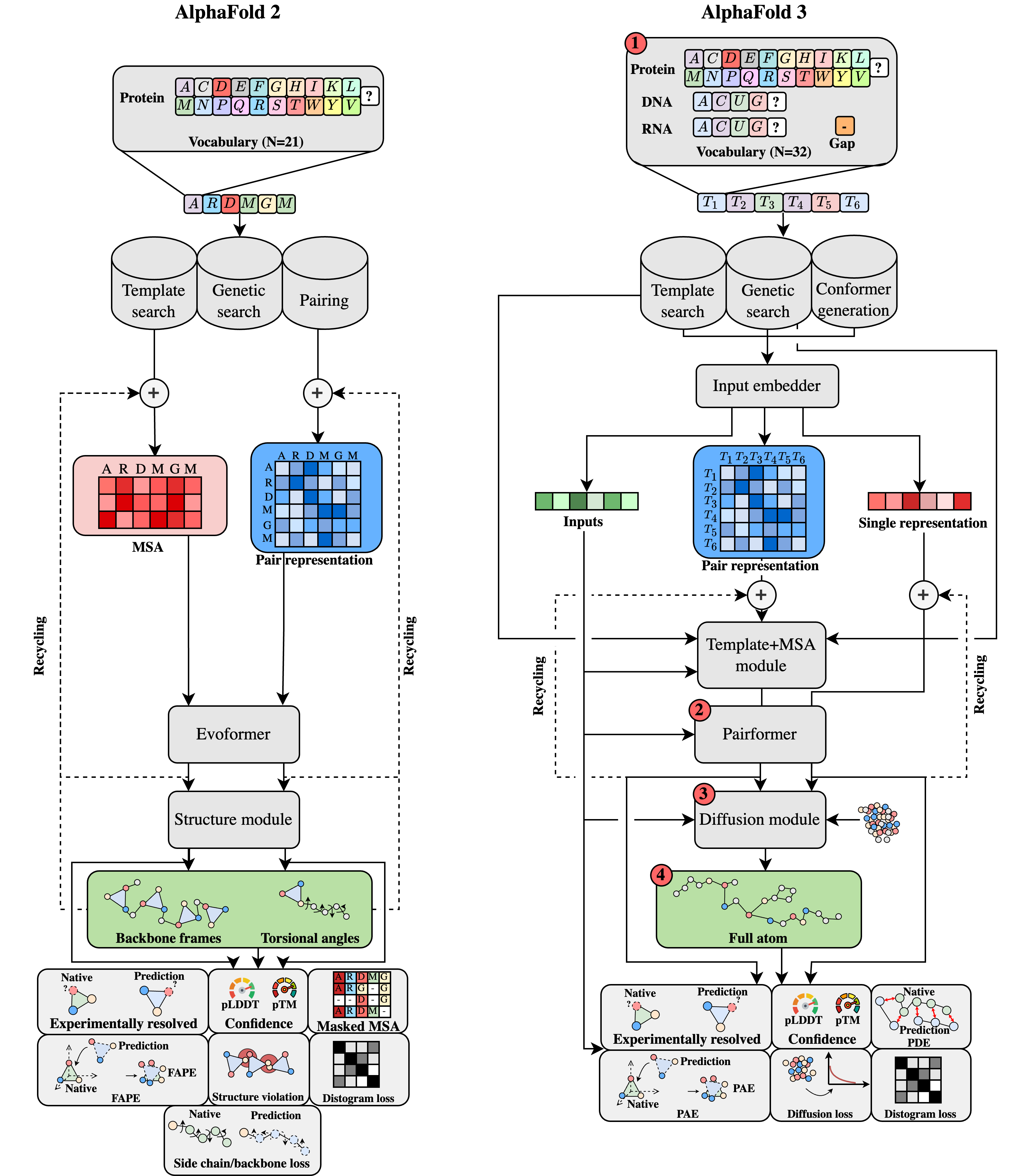 AlphaFold3ForRNA