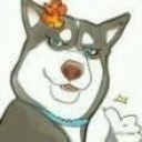 F-Light profile avatar