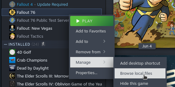 Screenshot of Steam