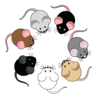 mice_logo.png