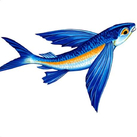 Flyingfish812