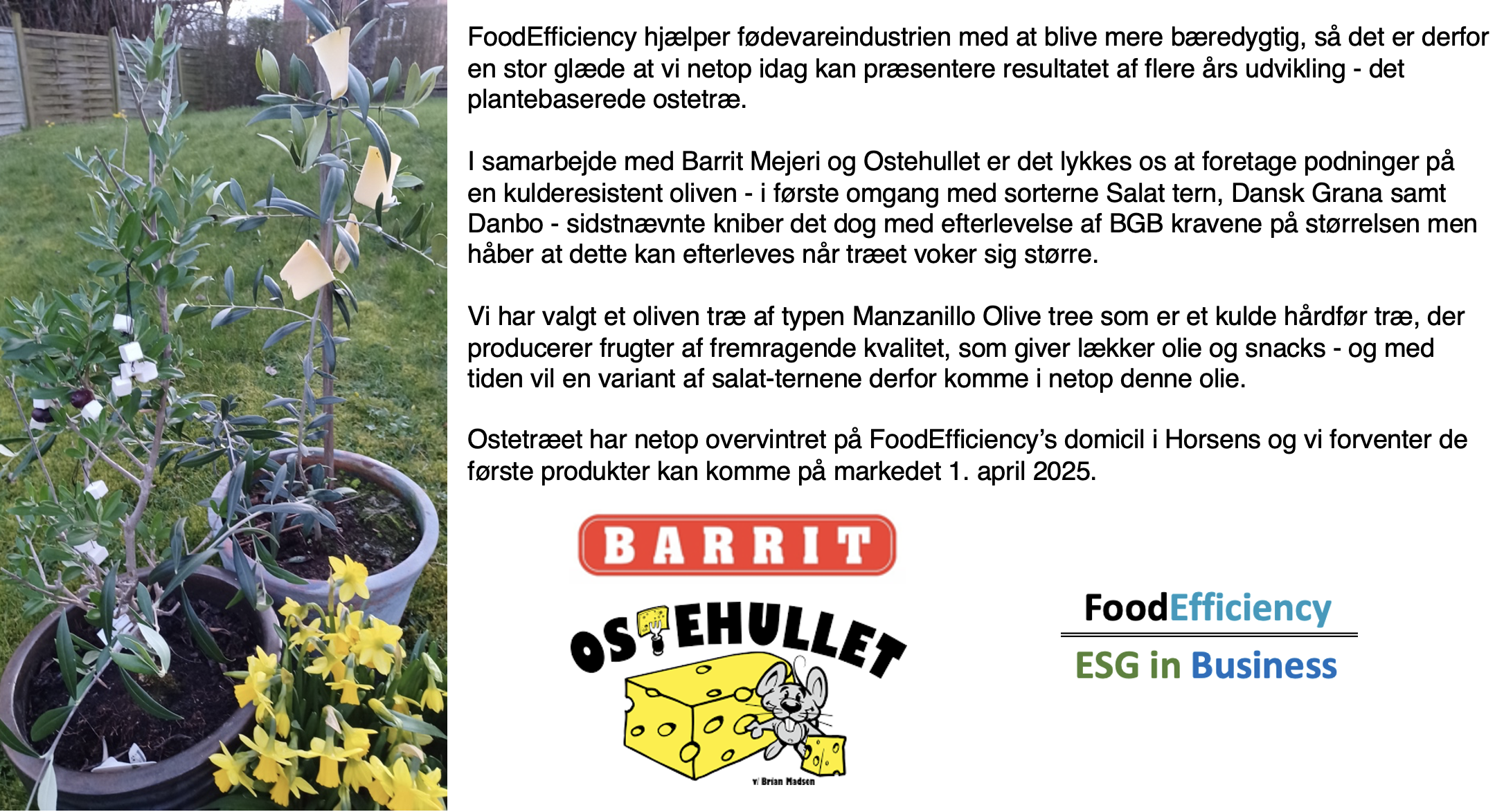 Pressemeddelelse_Barrit Mejeri_FoodEfficiency 1 April 2024
