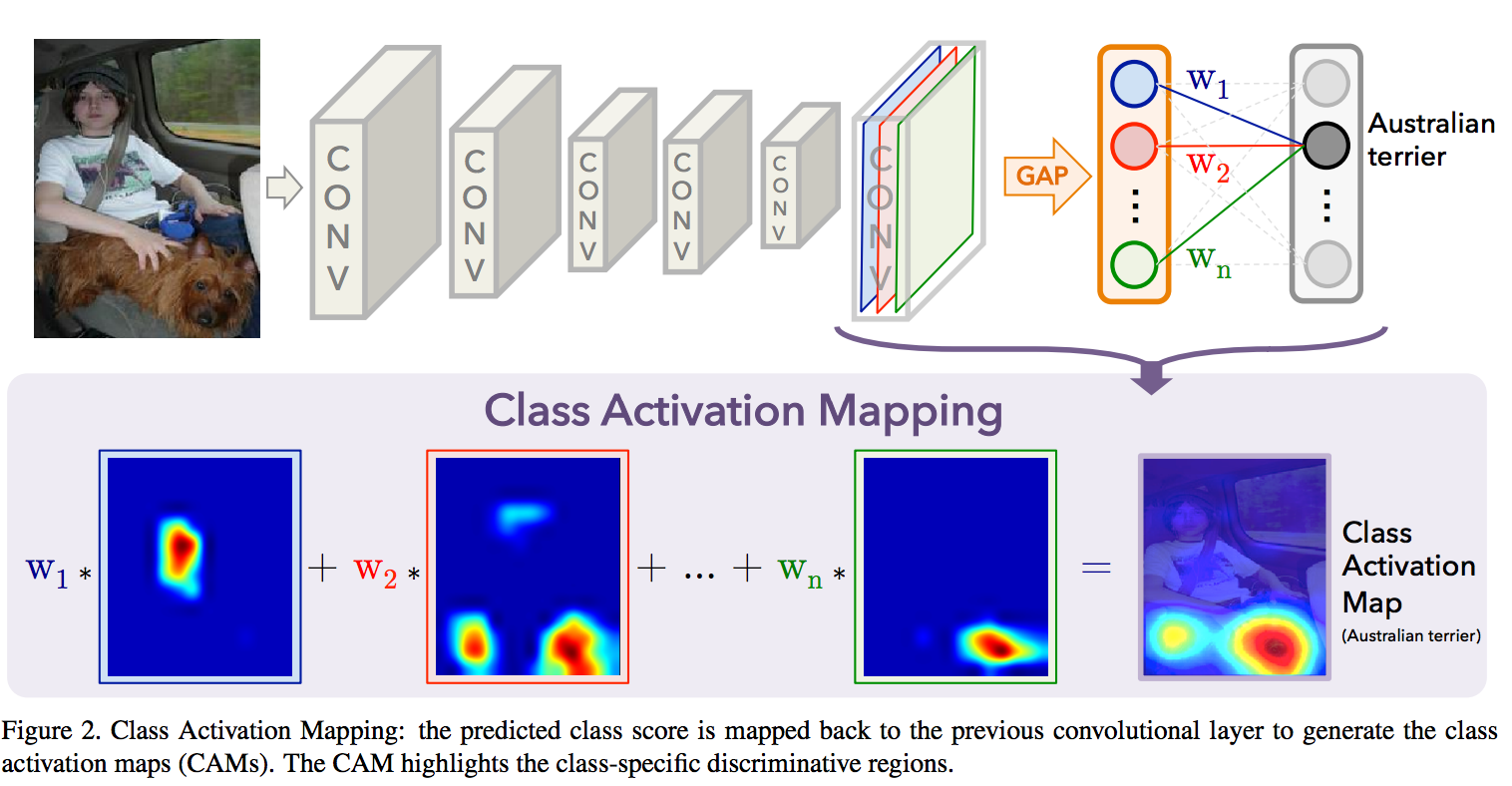 class_activation_mapping1.png