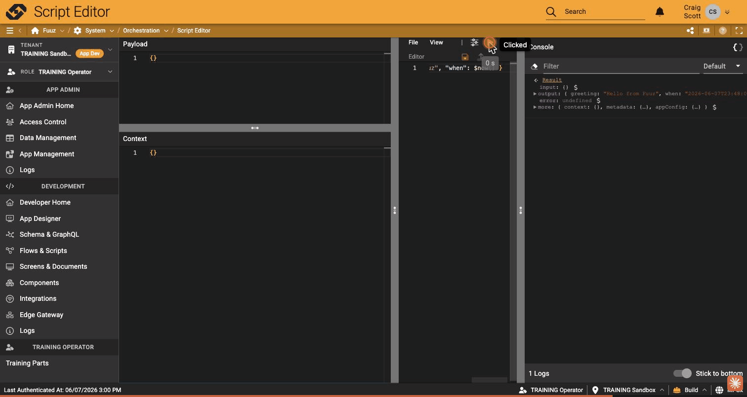 Script editor result