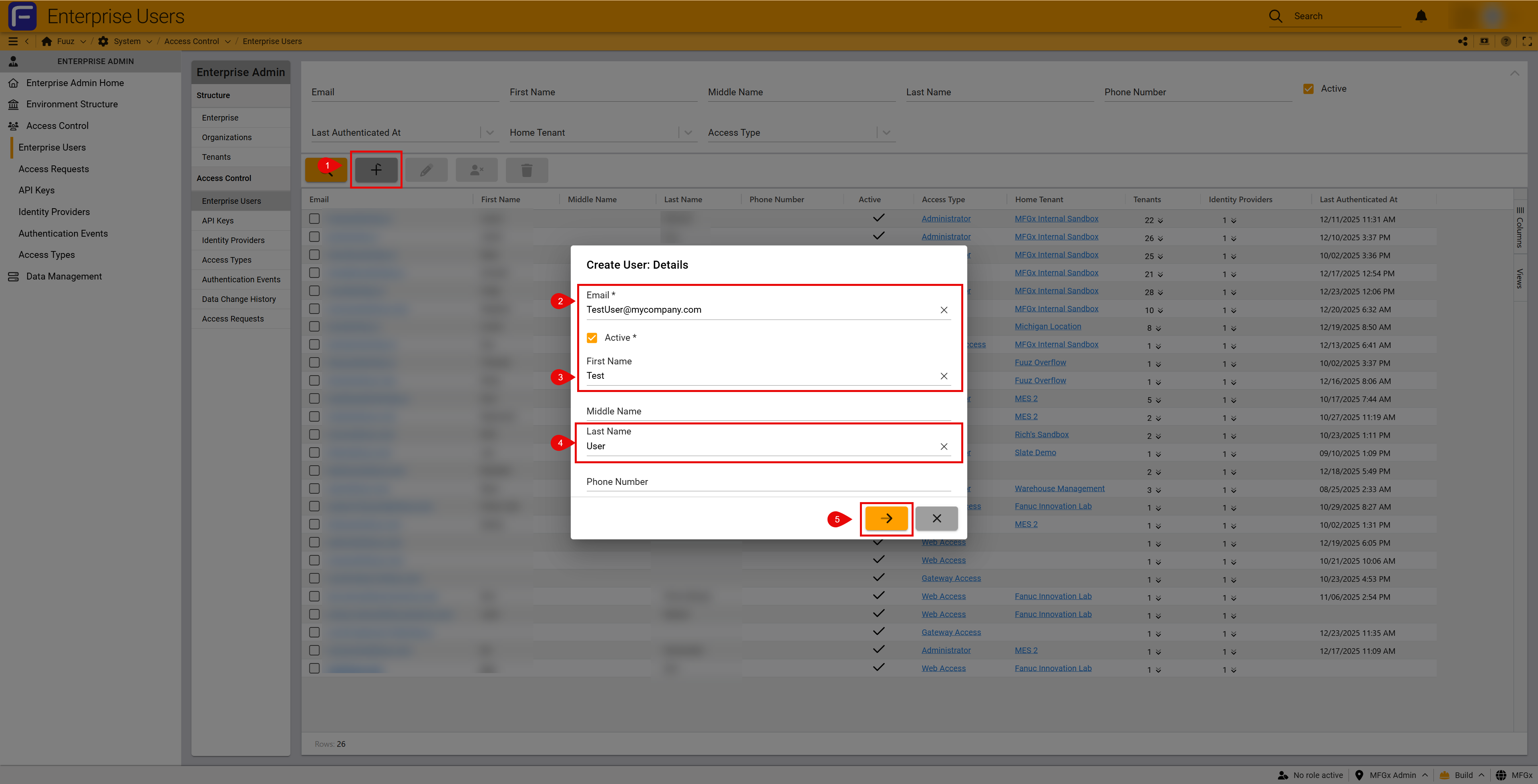 Setting Access Type and Identity Provider