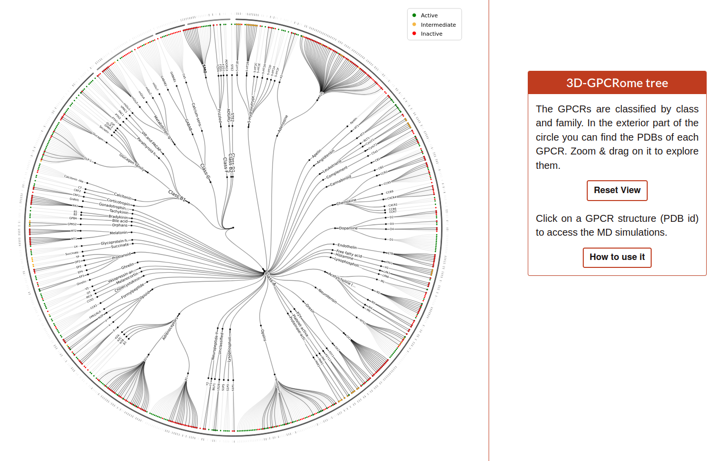 family_tree.png