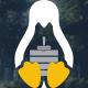 linuxgsm