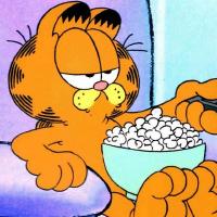 Garf1eld99