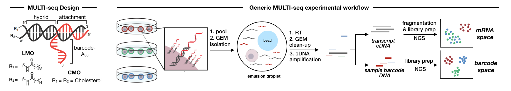 MULTIseq.overview.png