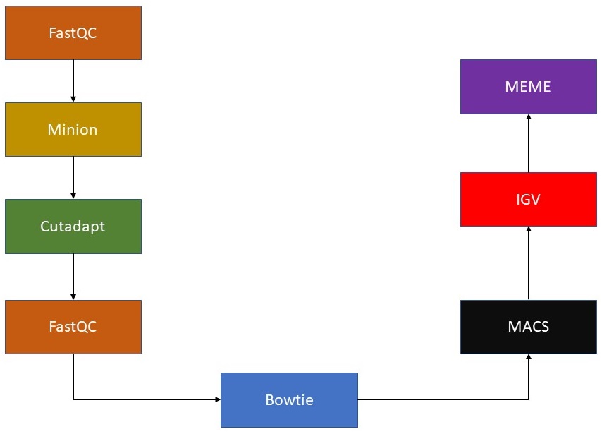 Analysis Steps.jpg