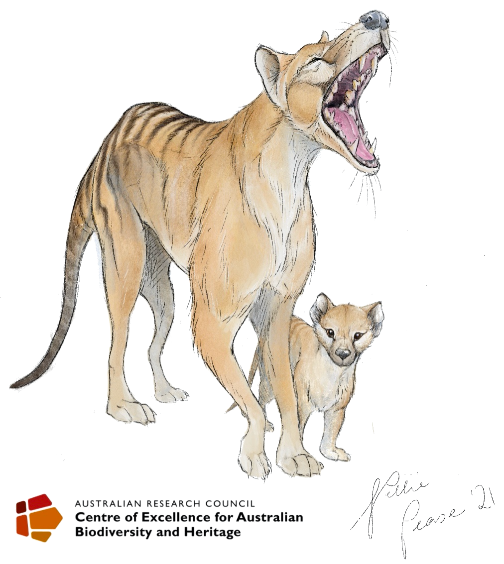 thylacine.png