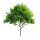 GreenWiNit