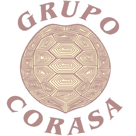 gravatar for GrupoCorasa